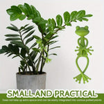 supports plantes forme grenouille vert clair décoration jardin flexible enroulement tige ludiqueextérieurintérieur
