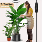 lampe croissance plante moderne minimaliste noir blanc vert rond lumineuse intérieure usb contrôleur câble