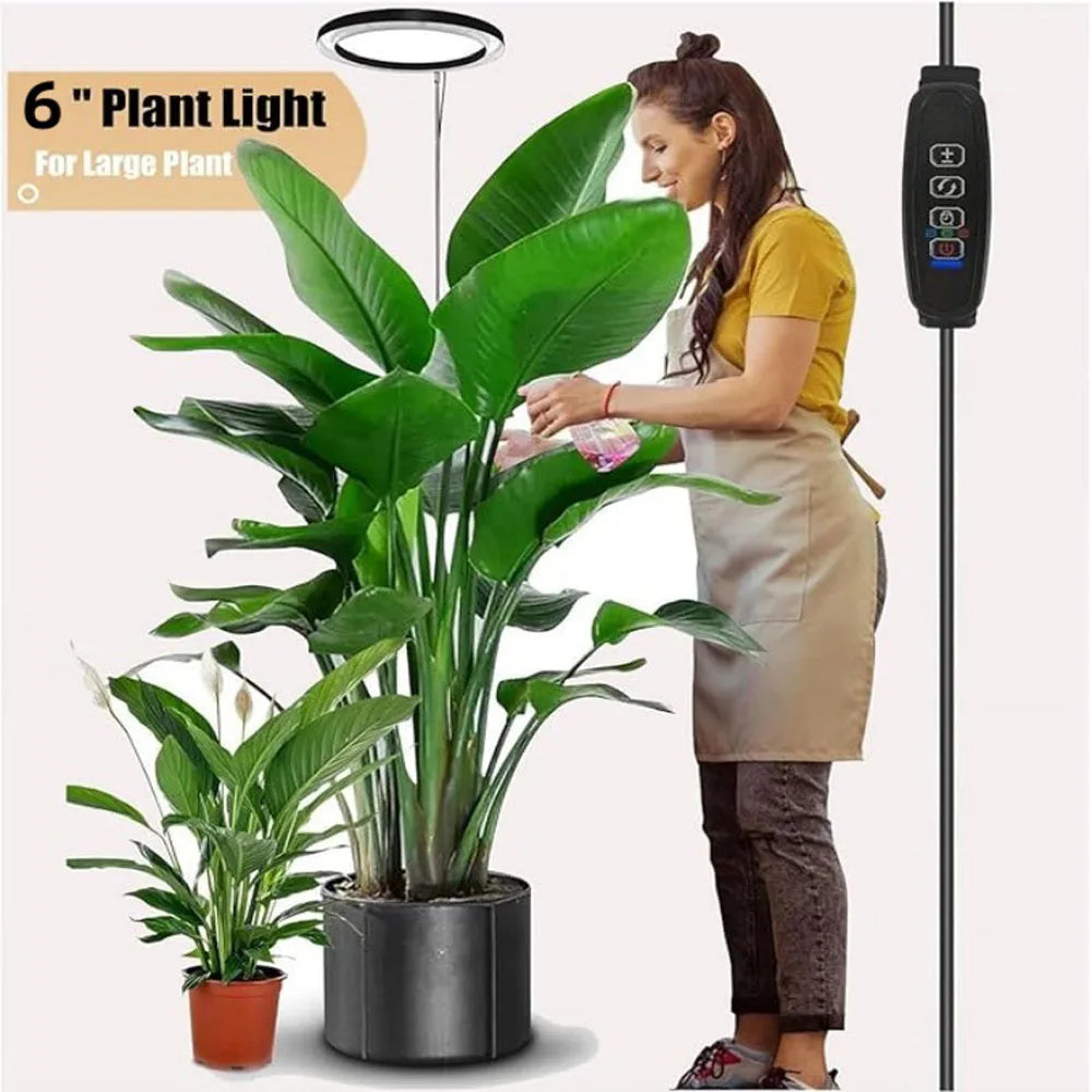 lampe croissance plante moderne minimaliste noir blanc vert rond lumineuse intérieure usb contrôleur câble