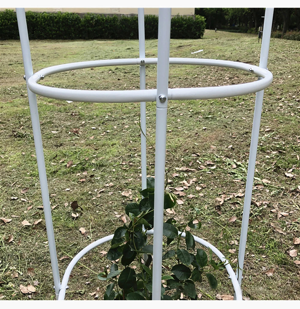 support plantes grimpantes noir moderne grille circulaire hauteur réglable occasion mariage anniversaire événement festive