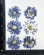 fleurs séchées violettes bleues décor maison anniversaire baby shower bricolage peinture décoration naturelle artificielle
