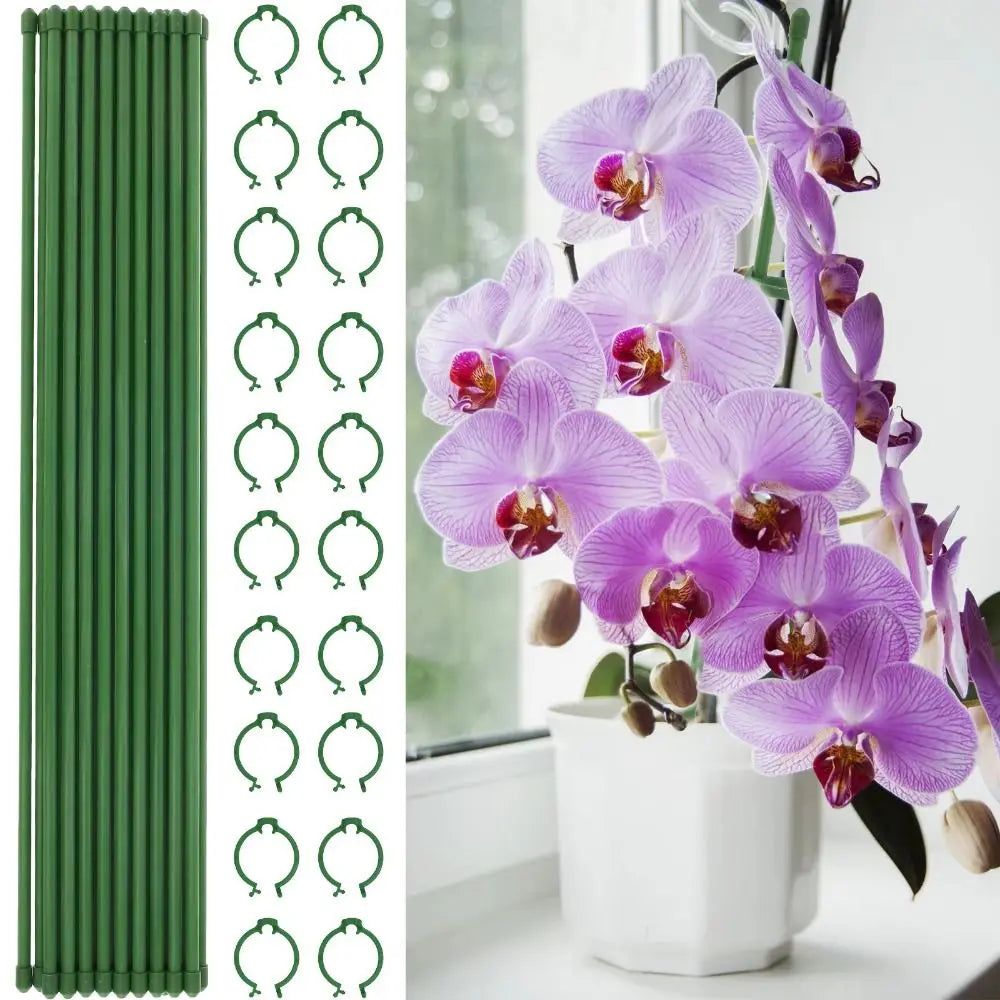 supports plantes vert modernes 30cm 40cm 45cm 10 pièces protections connecteurs