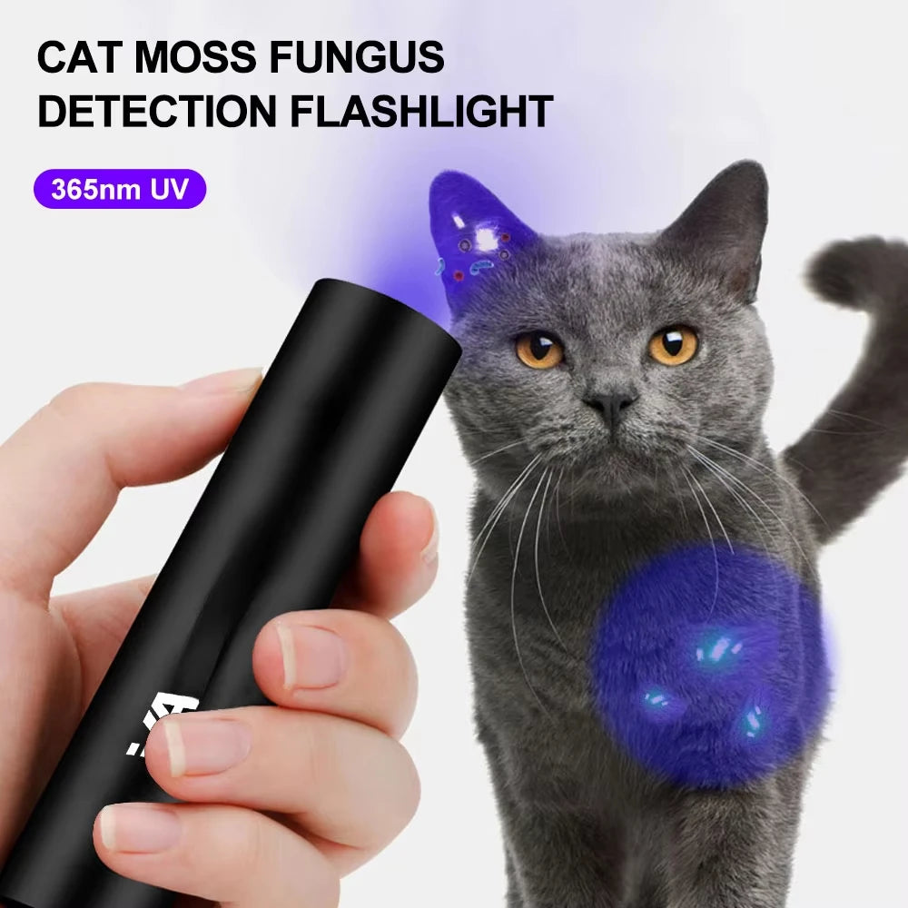 lampe uv rechargeable flashlight 365nm test fluorescence chat toupie monnaie moderne utilitaire