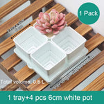 pots succulentes blancs modernes entailles drainage 6cm 7cm cactus pierres