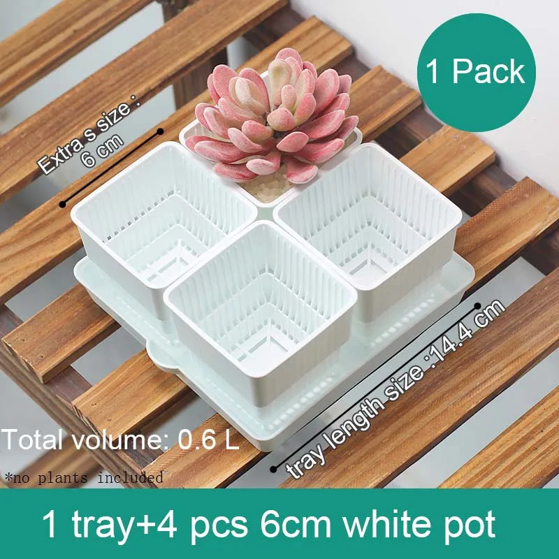 pots succulentes blancs modernes entailles drainage 6cm 7cm cactus pierres