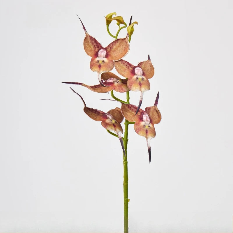décoration mariage orchidées artificielles 5pcs violet blanc jaune modernes intérieur