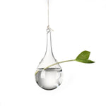vases suspendus verre transparent motifs oiseaux coeurs plantes vertes minimaliste terrarium hydroponie