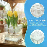pots fleurs transparents modernes bleus roses blancs adhésifs decoration intérieur hydroponique