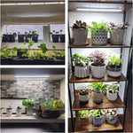 éclairage led plante blanc moderne clips commande luminosité câble usb 183cm