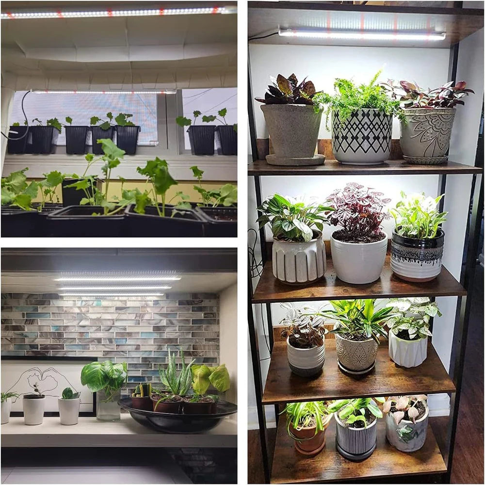éclairage led plante blanc moderne clips commande luminosité câble usb 183cm