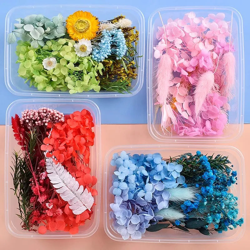 Fleurs séchées naturelles variées bleu rose vert blanc décoration diy bougie évènement