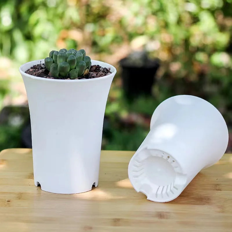 pots plante noirs blancs modernes succulentes décoration maison 10pc 5pc