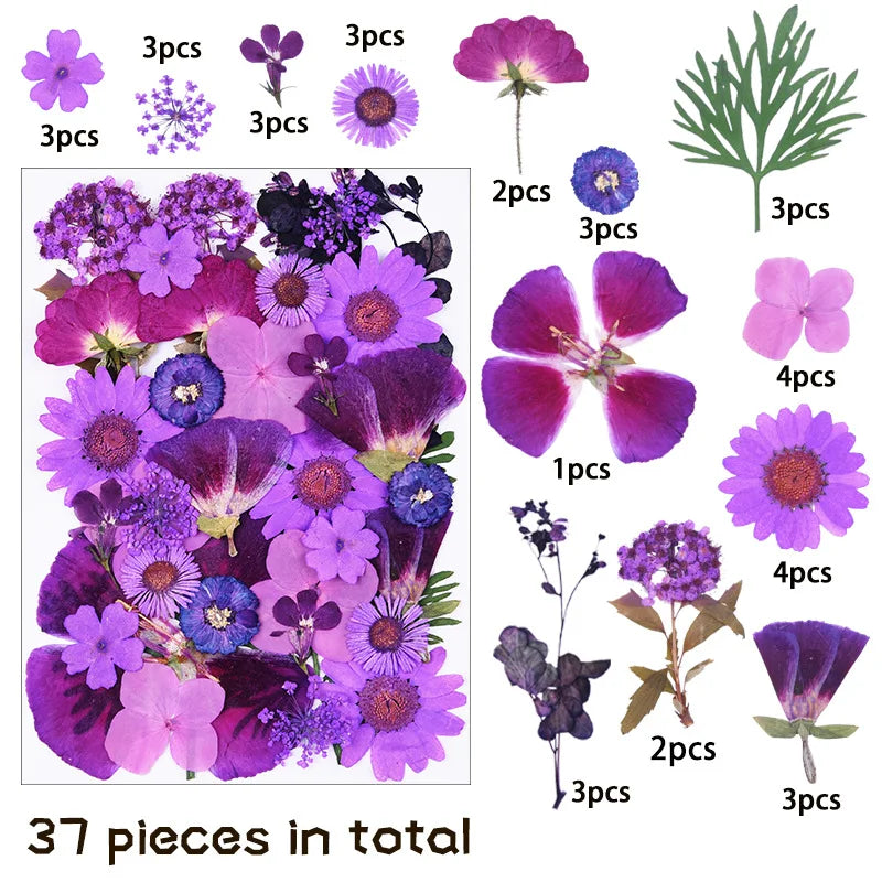 fleurs séchées variées violettes roses vertes blanches noires jaunes décoration artisanat bijoux