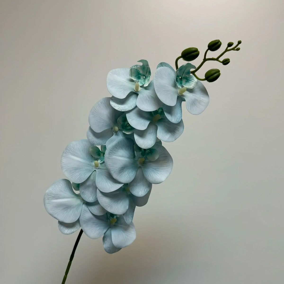 décoration intérieure vase orchidées artificielles fleurs douces feuilles vertes moderne élégant rose blanc violet