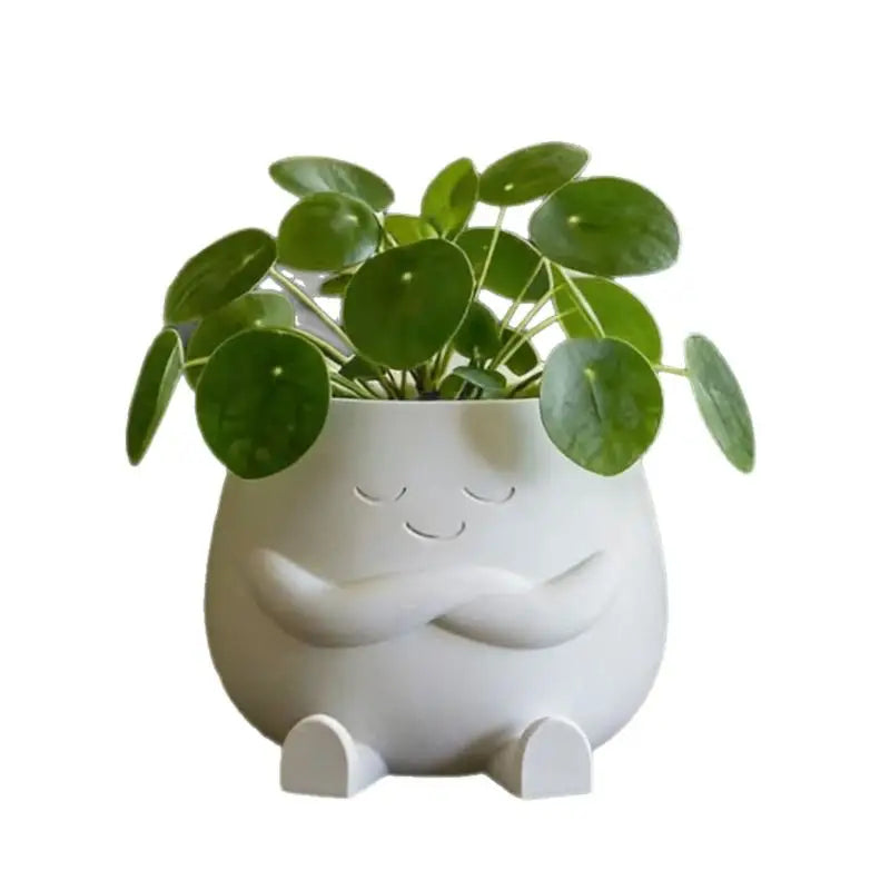 cache pot mignon blanc vert rose peperomia face souriante mains coeurextérieur intérieurDecoration Jardin Maison