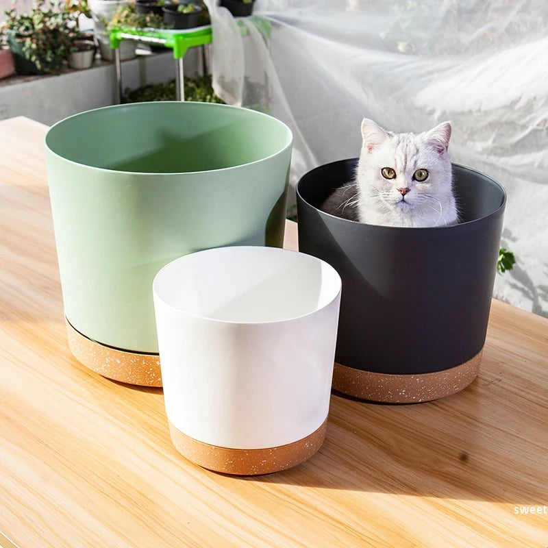 Pot de fleur lavande avec bonsaï en décoration bureau