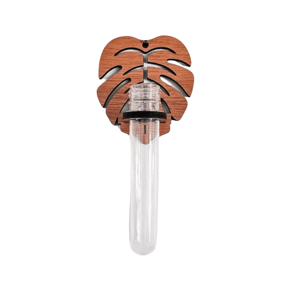 vase mural transparent feuille monstera nuage bois moderne minimaliste