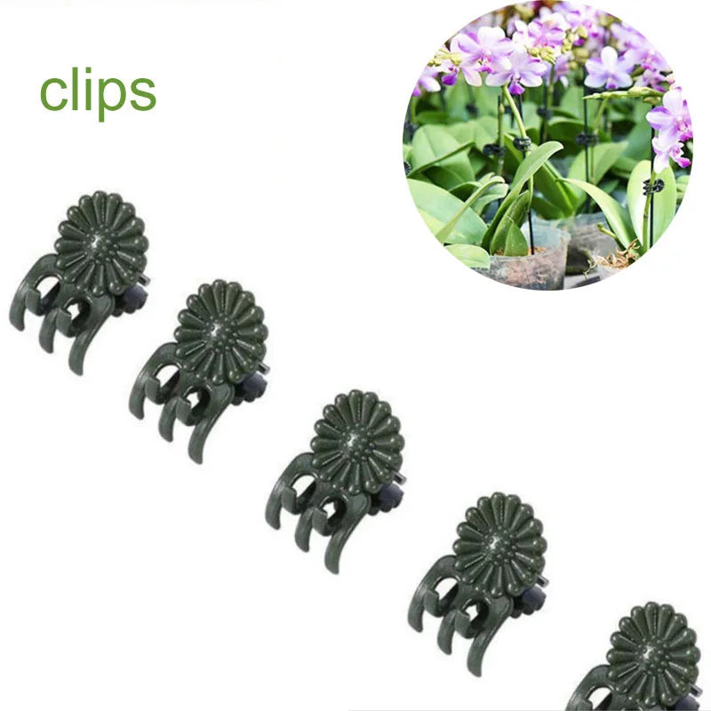 supports plantes tiges vertes modernes 17cm 27cm 37cm 48cm eyelets plastique minimalistes