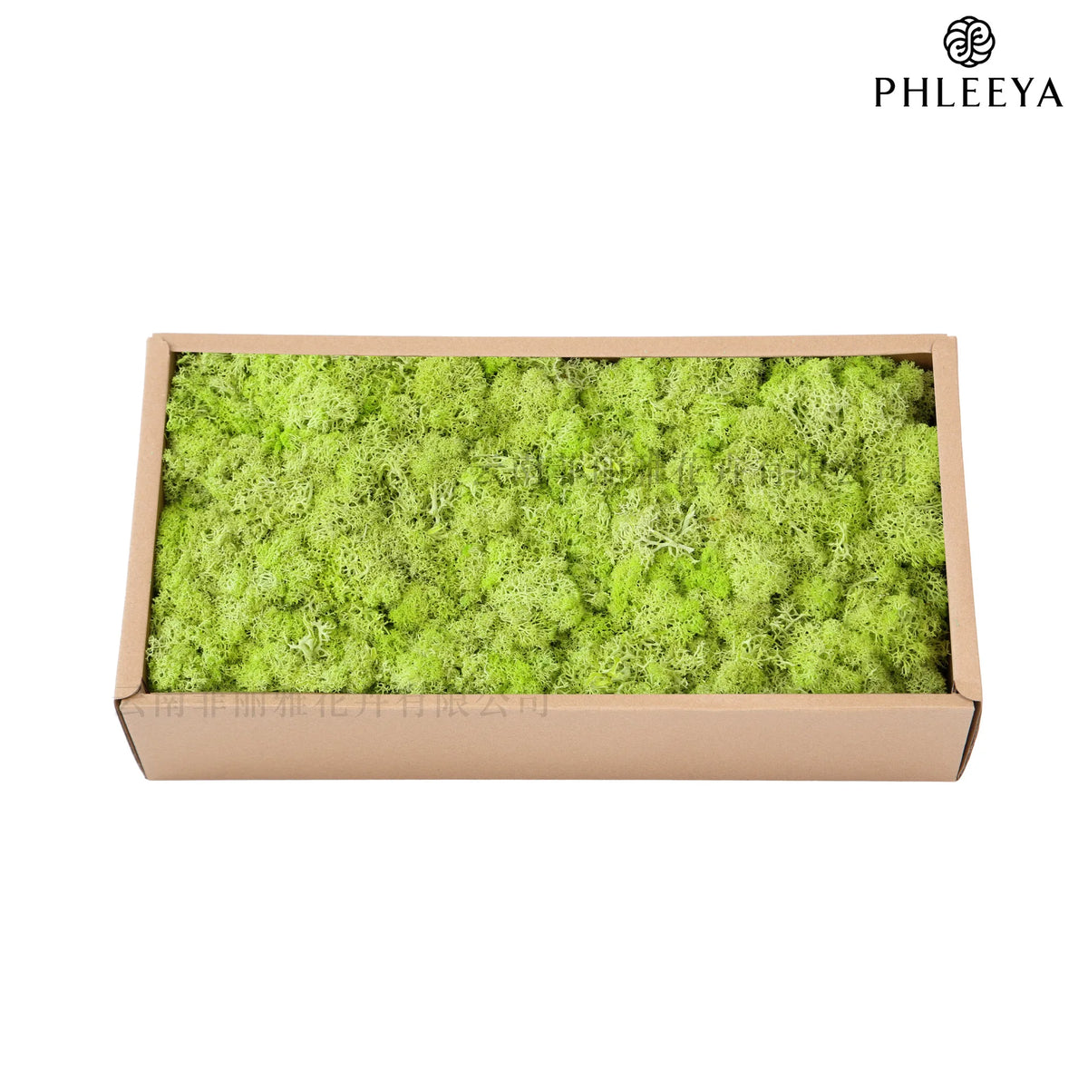mousse séchée naturelle décorative fleurs séchées rustiques vert rose bleu violet maison intérieur