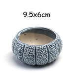 petit cache pot ceramique bleu motif poisson marin decoratif plante succulente maison