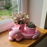 pots fleurs forme chat blanc rose contemporain mignon chat dormant alliage plantes succulentes intérieur