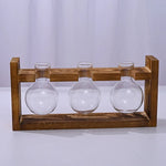 support plante bois vases verre transparent modernes plantes vertes decoration hydroponique minimaliste