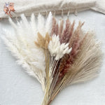 bouquet fleurs séchées pampas naturel beige marron blanc décoration maison anniversaire mariage rustic