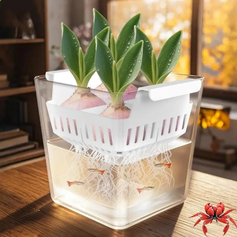 pot hydroponique transparent moderne tulipes sans terre ventilation grille plastique