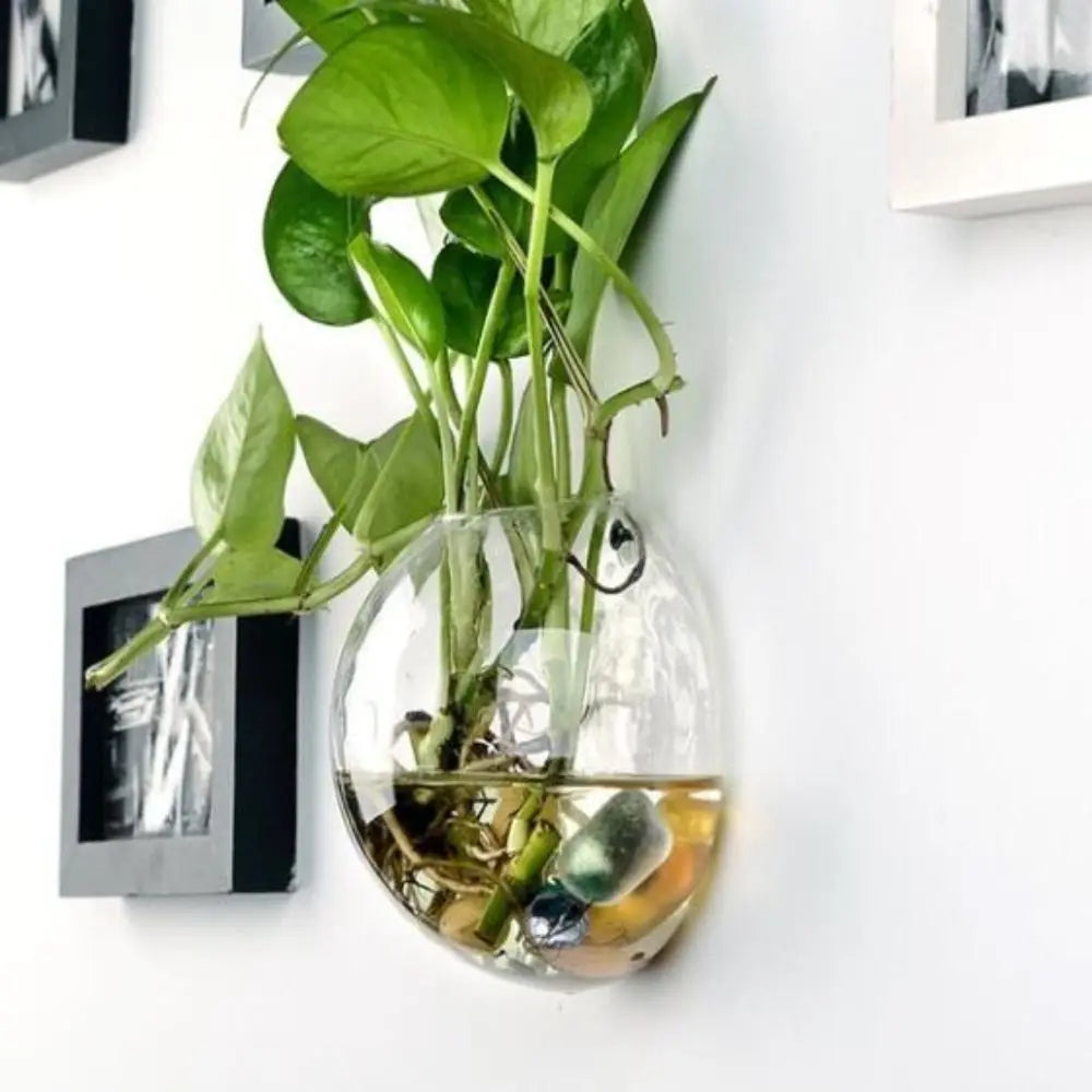 vase mural verre transparent moderne 10 12 13 15cm