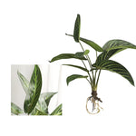 plantes artificielles vertes feuilles soie decoration extérieur moderne minimaliste