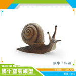 décoration miniature escargot coquille rayées réaliste couleur beige marron orange noir