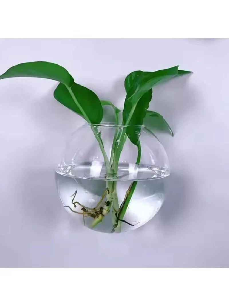 vases muraux transparents modernes suspension plante gravier eau hydroponique automatique