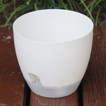 Pots fleurs blancs modernes plastique opaques plantes vertes 13cm capacité grande