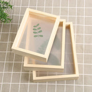 cadre photo transparent bois feuilles fleurs papillons nature morte decoratif vintage minimaliste