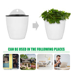 pots plante autoarrosage mur blanc noir adhésif vertical suspendus succulentes herbes moderneintérieurextérieur