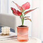Pot plante moderne rayures verticales plante verte gris bleu rose