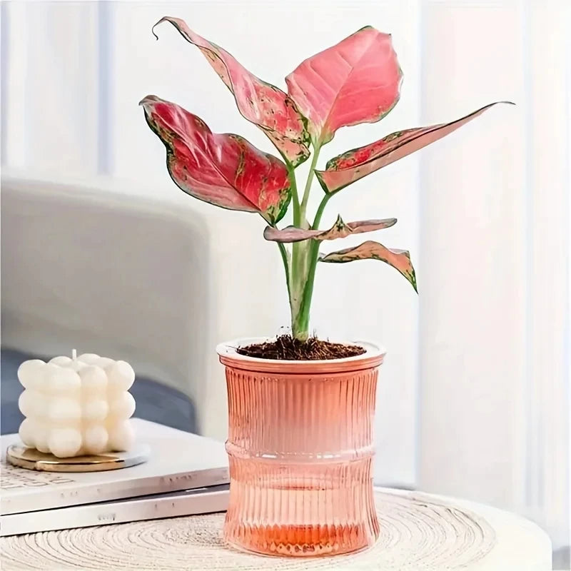 Pot plante moderne rayures verticales plante verte gris bleu rose