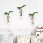 vase mural transparent minimaliste bois plante verte femmes
