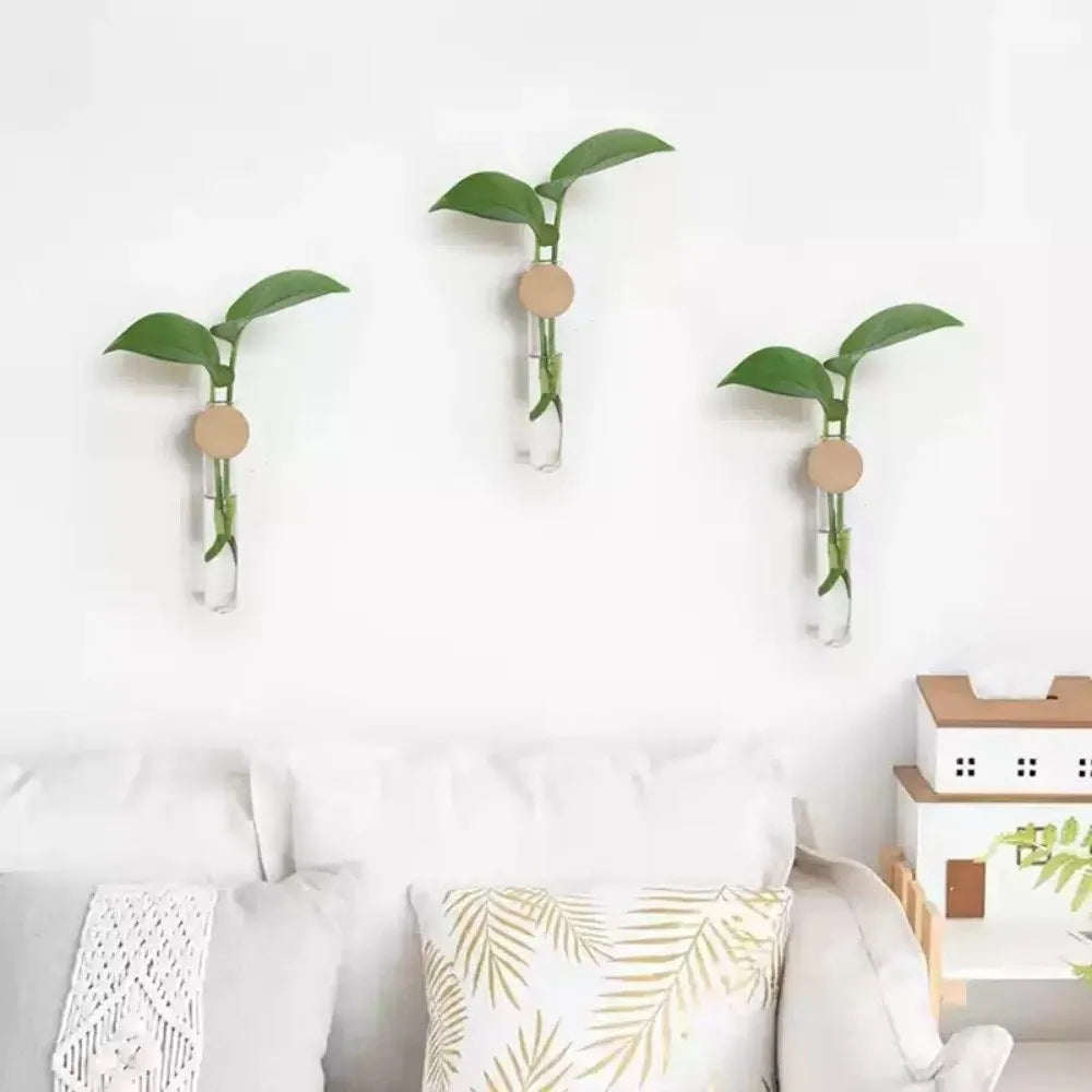 vase mural transparent minimaliste bois plante verte femmes