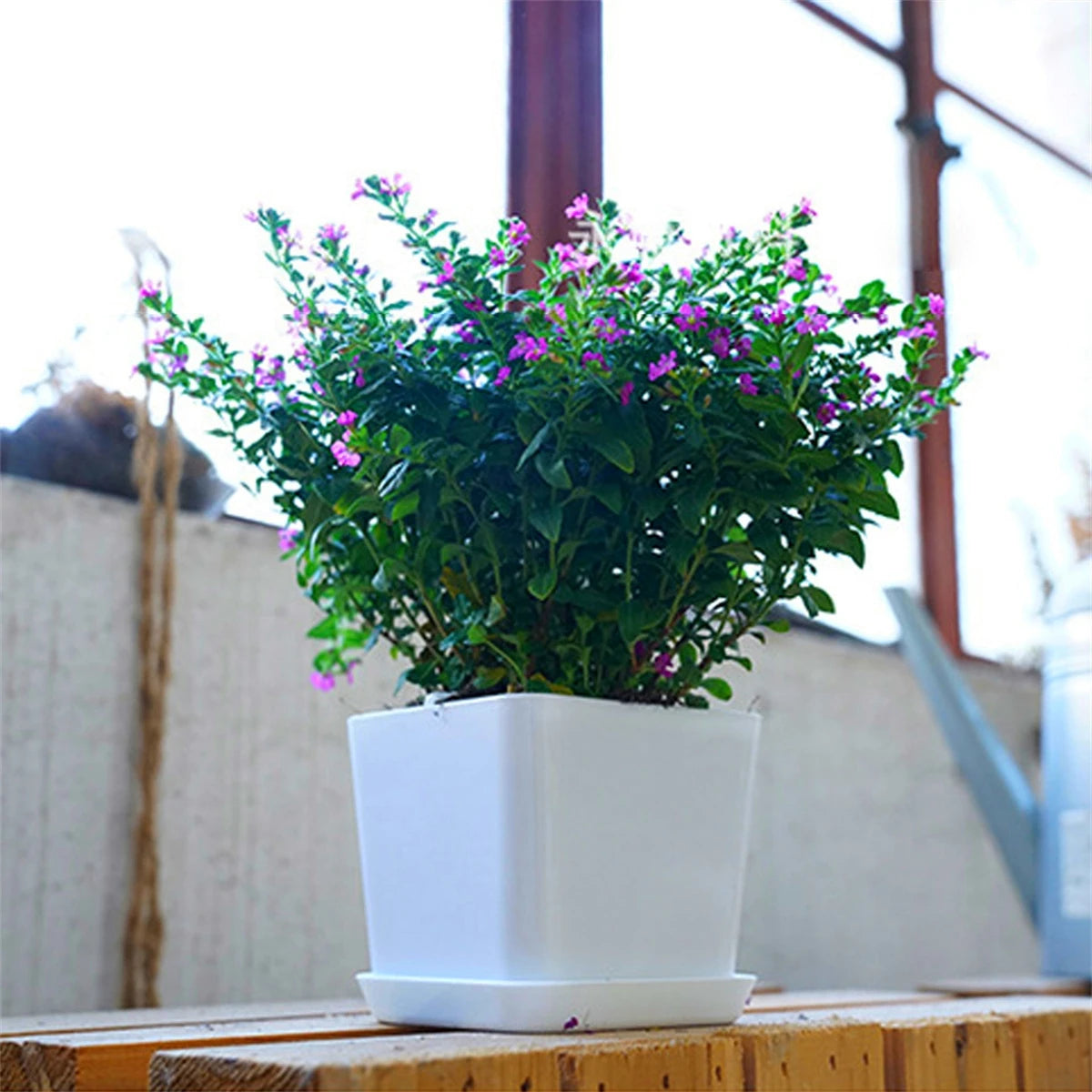 pots fleurs modernes blancs soucoupe plante verte intérieur extérieur hexagon rond polygonaux