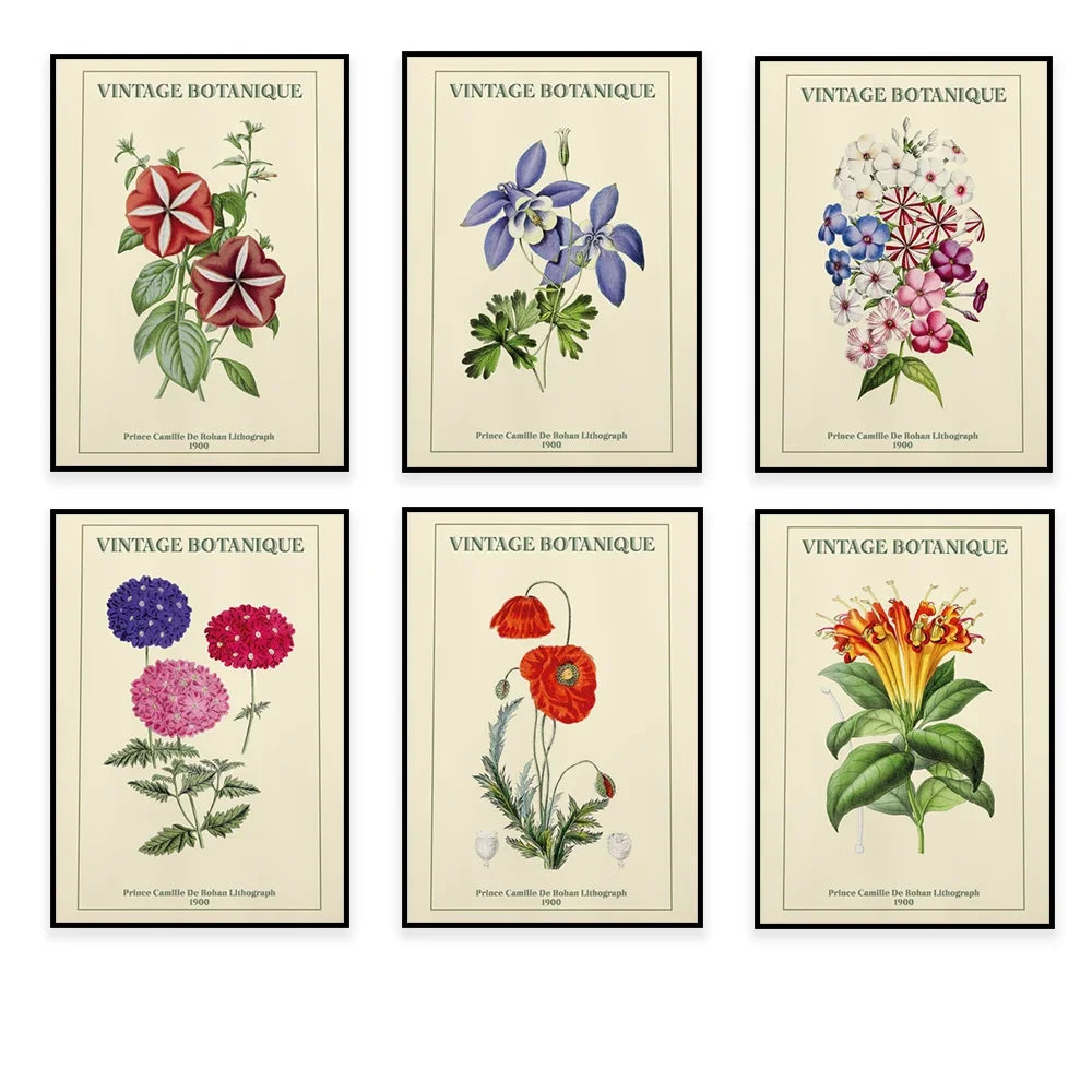 Une collection de six affiches botaniques vintages mettant en valeur de magnifiques illustrations de fleurs variées.