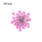 fleurs séchées pressées coque téléphone transparente arbre fleurs roses naturel artisanat bijoux 100 pièces