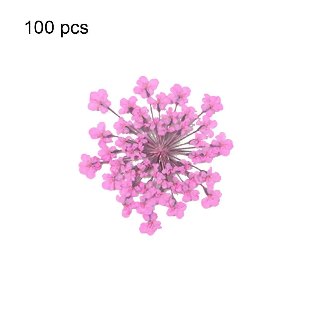 fleurs séchées pressées coque téléphone transparente arbre fleurs roses naturel artisanat bijoux 100 pièces