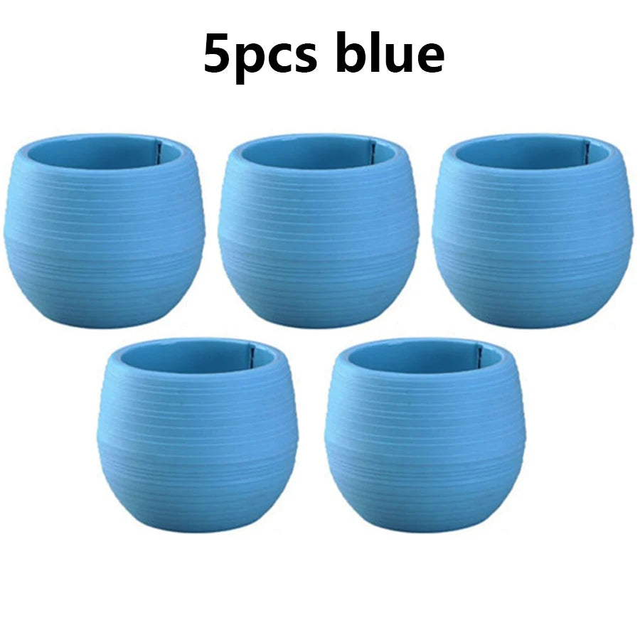 pots fleurs succulentes drainants couleur aléatoire rayures modernes transparents petite plante jardinière echangable