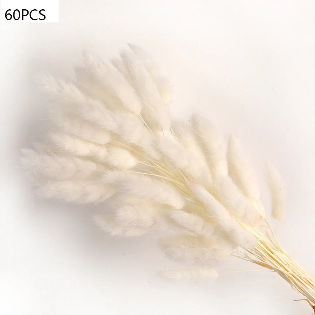 décoration boho plante séchée pampa blanche naturelle intérieur anniversaire mariage