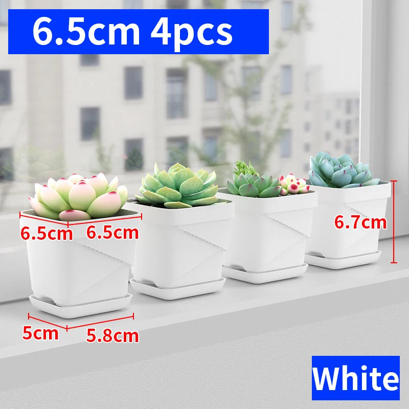petit pot fleurs blanc plastique moderne cactus succulentes plateau intégré