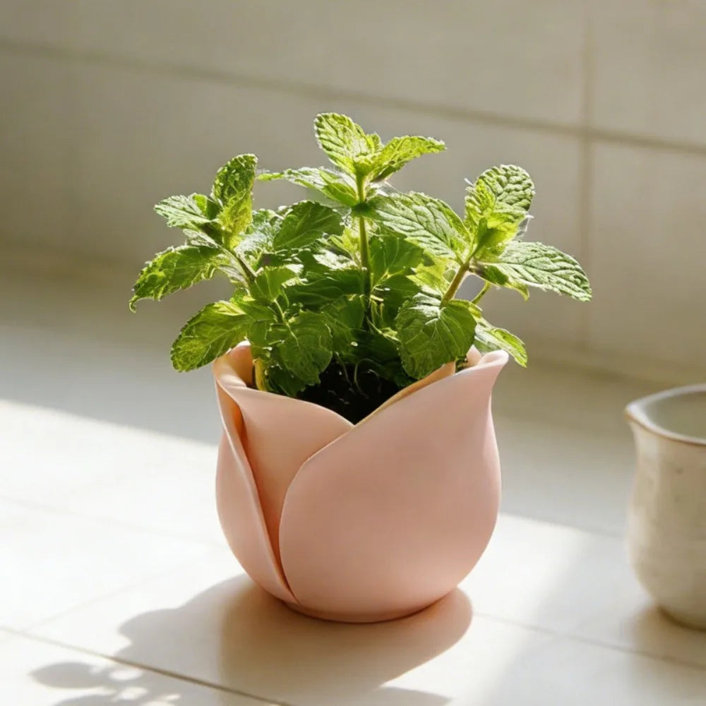 pots tulipe fleuri rose noir rouge modernes intérieur plantes vertes