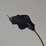 fleurs artificielles calla lily blanc rose orange vases transparents mariage anniversaireintérieurDecorationMinimaliste