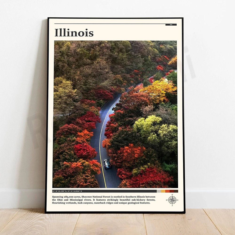 Une route serpentant à travers une forêt d'arbres aux feuillages multicolores, offrant une vue spectaculaire sur la beauté naturelle de l'Illinois.