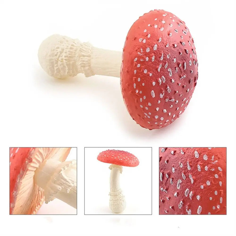 champignons décoratifs résine marron rouge lisses réels jardin decoration pointillés adultes